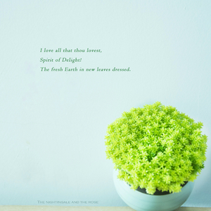 福利午夜永久少妇日本
